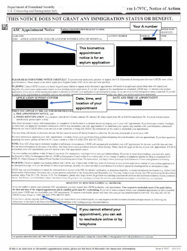 asylum application cover letter sample